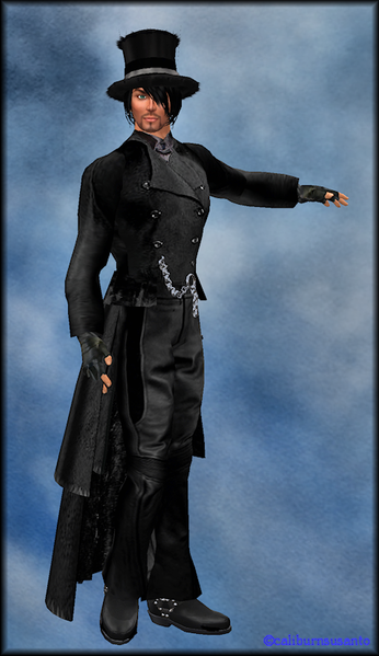 File:Wikiprofile 05.png