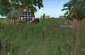 Thumbnail for version as of 13:37, 25 November 2008