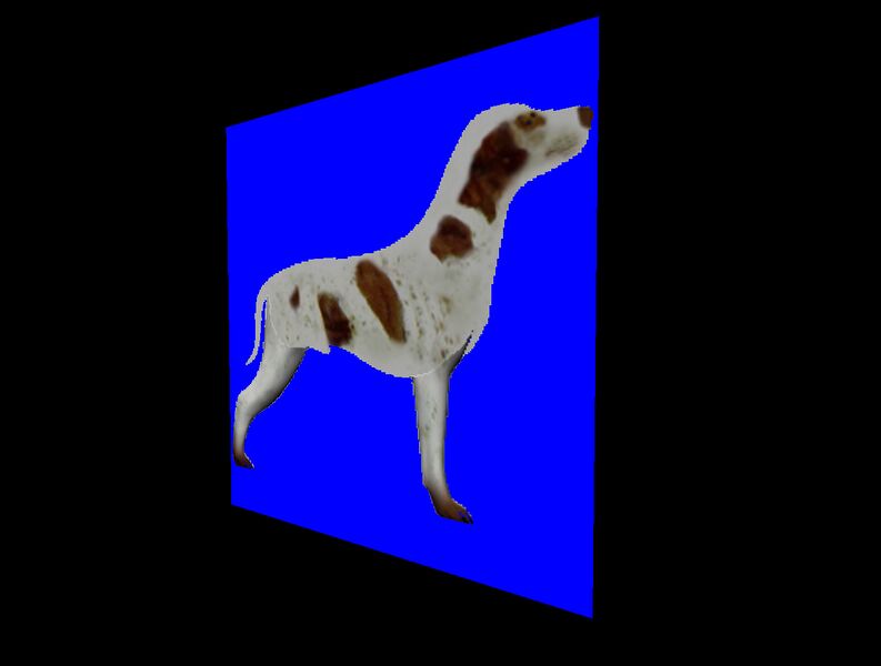 File:Dog1.jpg