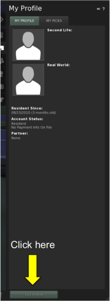 File:Edit Profile edited.png