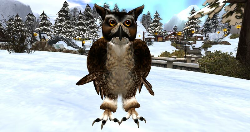 File:Owl 2005.jpg