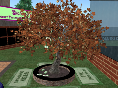 money trees